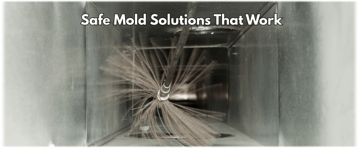 Air Duct Mold Removal in Riverside CA