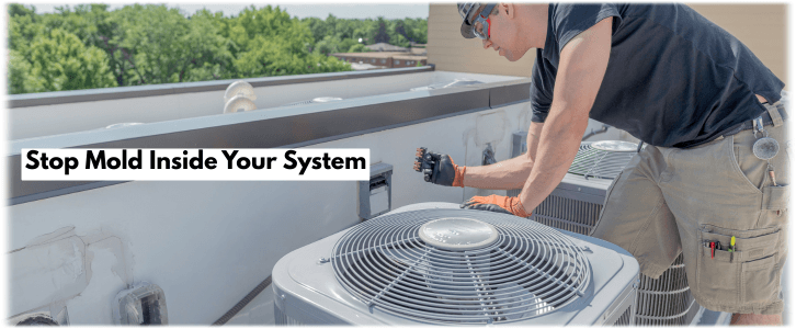 HVAC Mold Removal Riverside CA